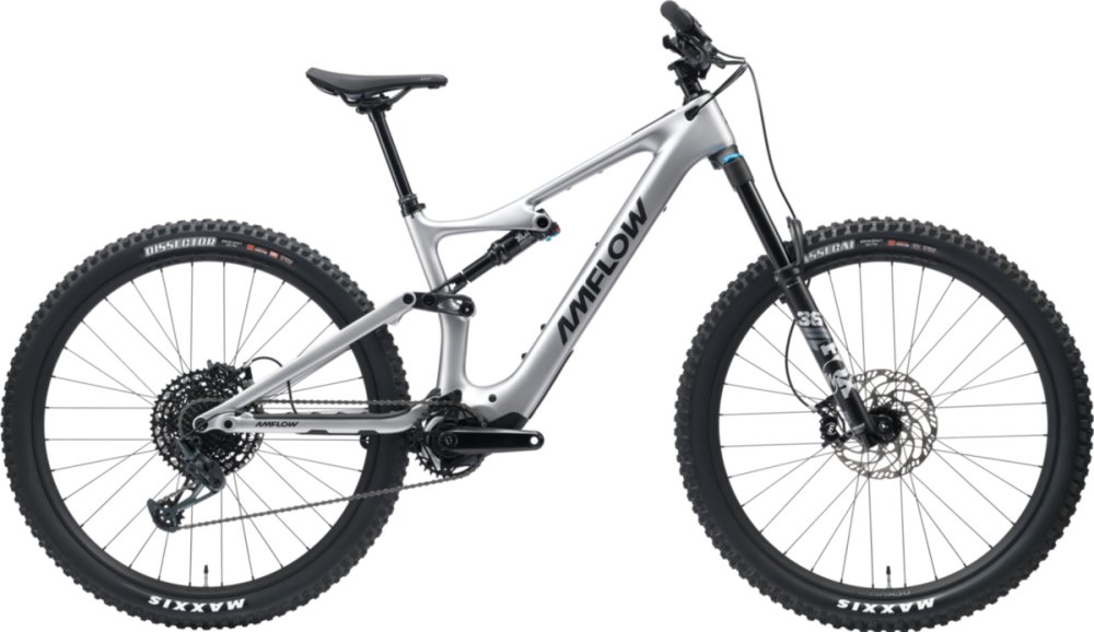 PL Carbon L | Testbike (170-185 cm)