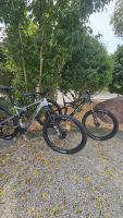 PL Carbon L | Testbike (170-185 cm)