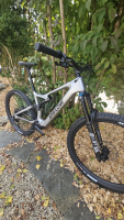 PL Carbon L | Testbike (170-185 cm)